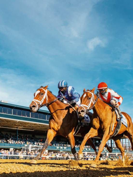 The Spring Activity Guide to Lexington