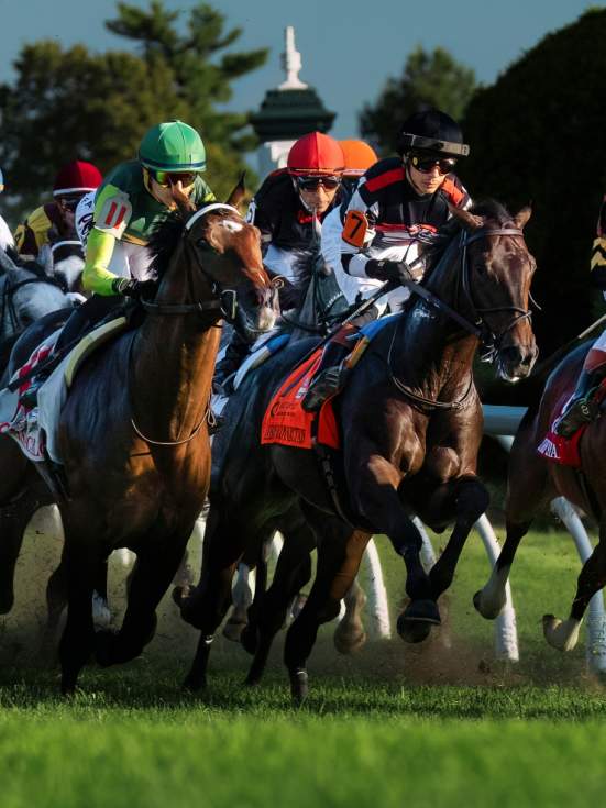 The Breeders’ Cup Guide to Lexington