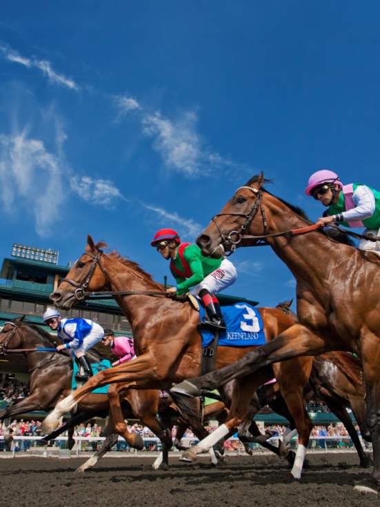Keeneland’s Guide to Keeneland
