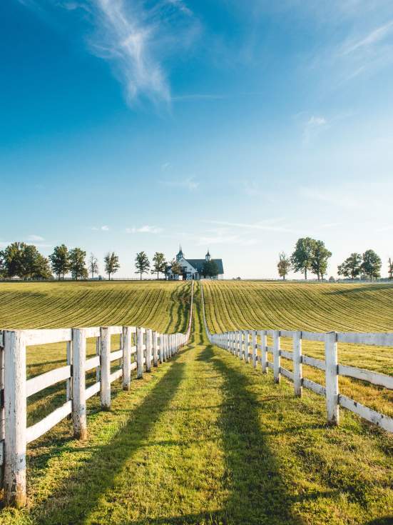 Lexington’s Equine History
