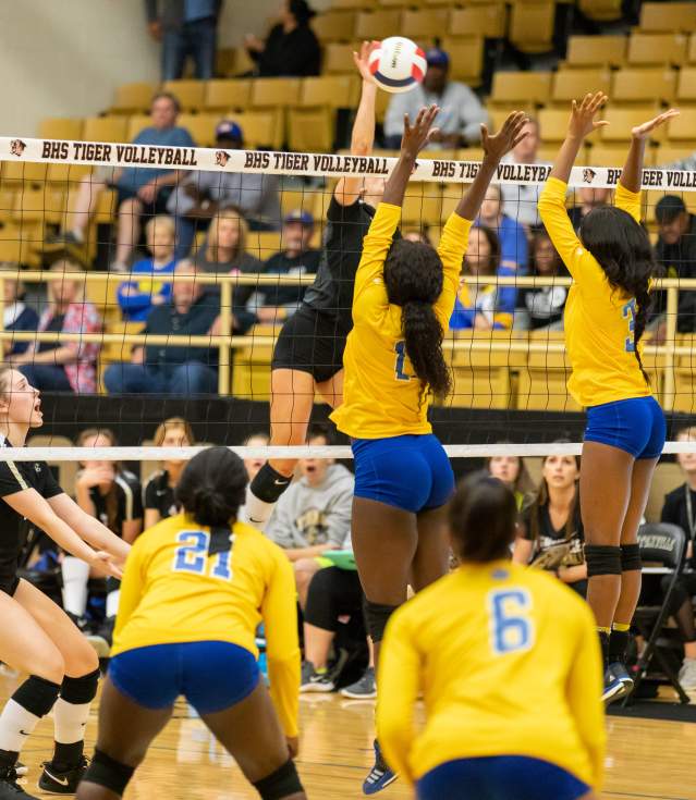 Wolverine Arena Volleyball
