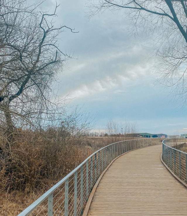 A wooden boardwalk stretches into the distance with bare wintry trees and blue sky.