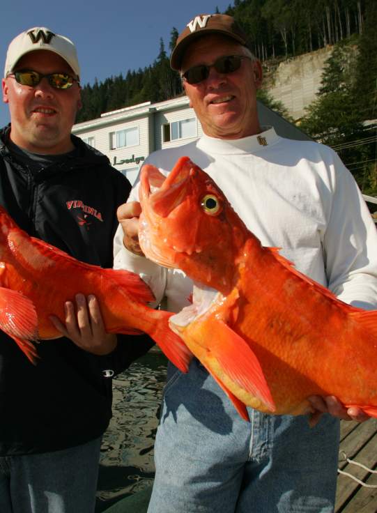 Men with two big fishes