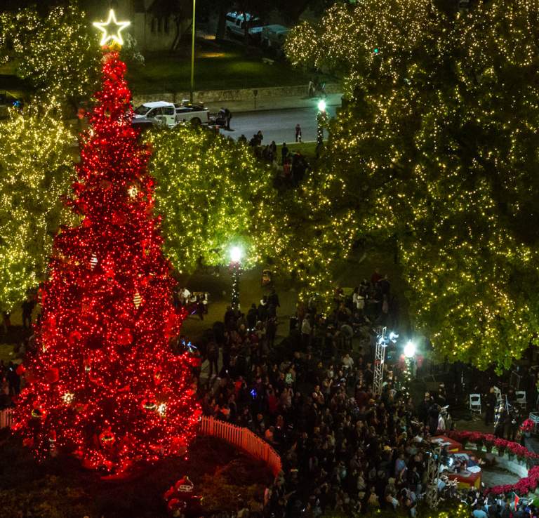 Christmas tree lit up with red lights
