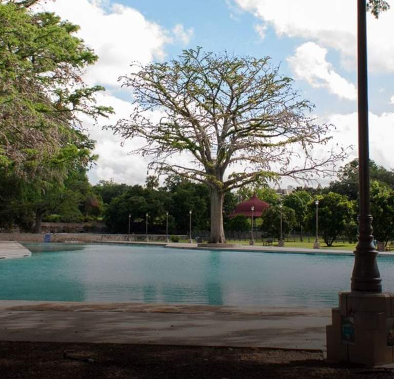 Park with trees and swimming pool