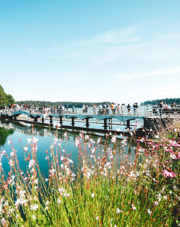 Summer day with flowers