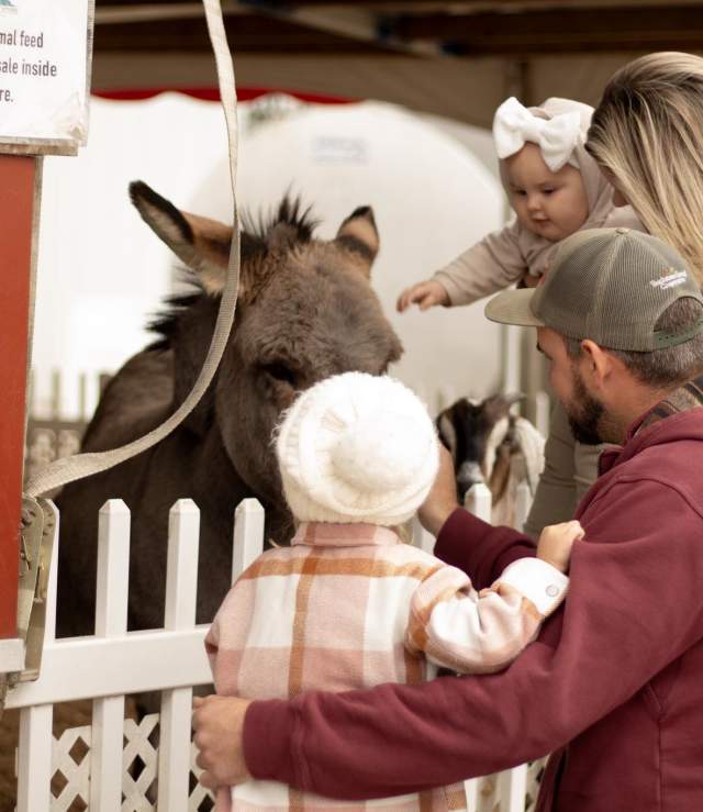Agriculture and Farming