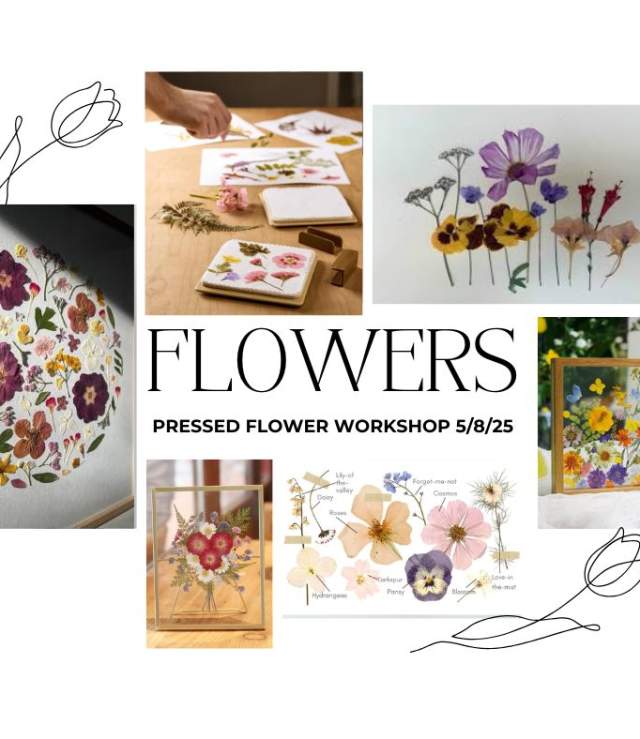 Framed Pressed Florals Workshop with Ash & Co