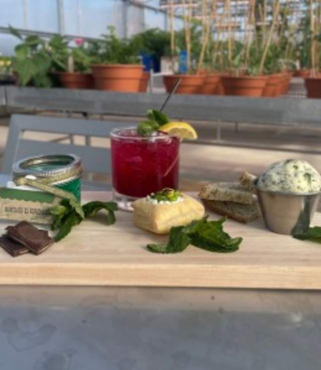 Cultivate + Create: Mint Workshop