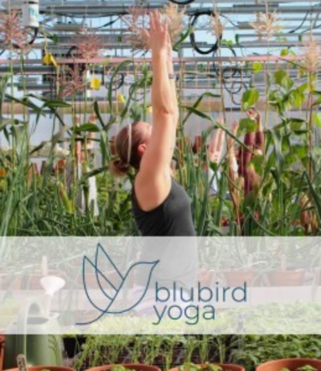 Root + Rise: Yoga in the Greenhouse