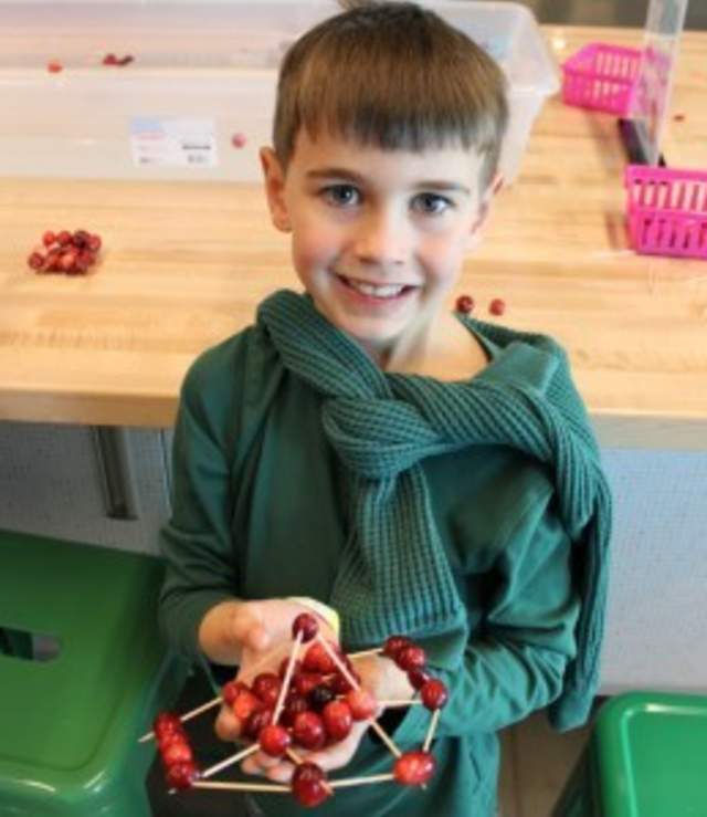 Homeschool Workshop: Cranberries