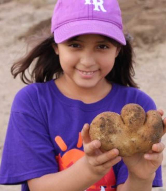 Homeschool Workshop: Harvest