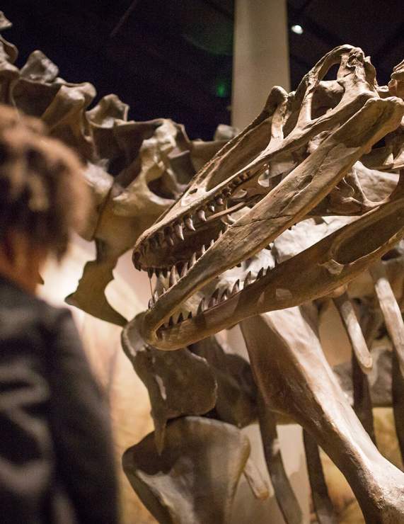 Sam Noble Oklahoma Museum of Natural History