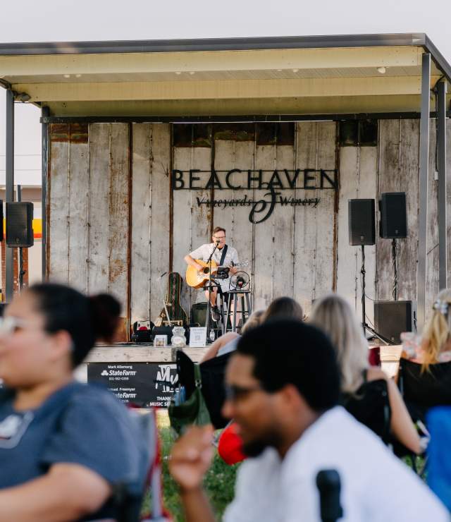 Your Ultimate Summer Live Music Guide in Clarksville