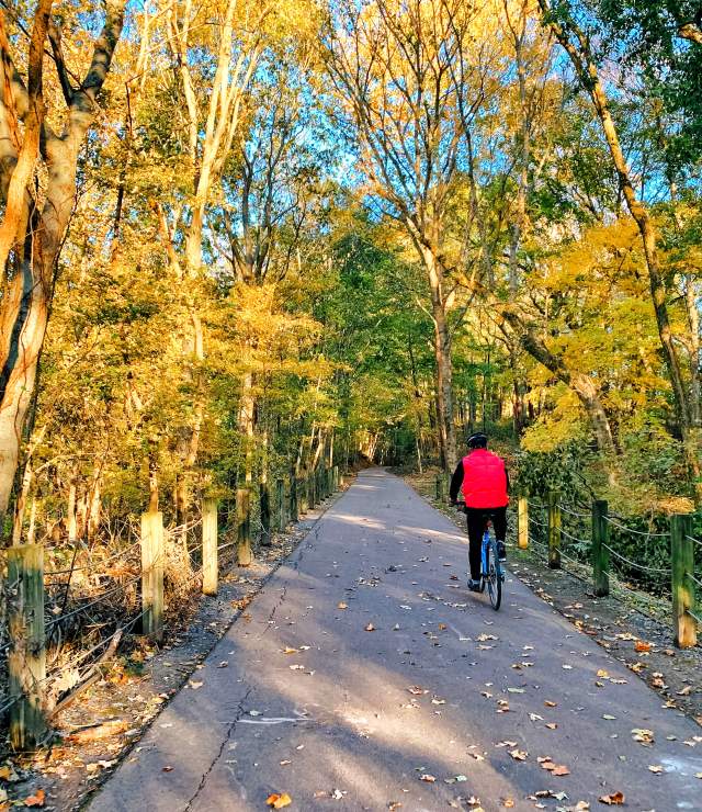 The Ultimate Fall Travel Bucket List in Clarksville, TN