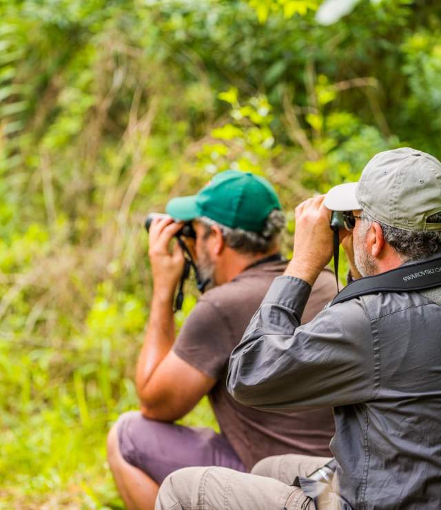 Birders at Peveto Woods Sanctuary