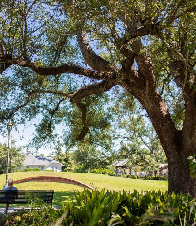 the grove at heritage square