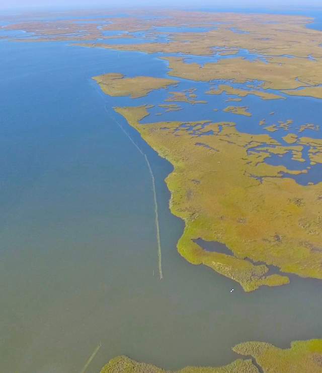 Coalition to Restore Coastal Louisiana - Oyster Shell Recycling Program - Wetlands