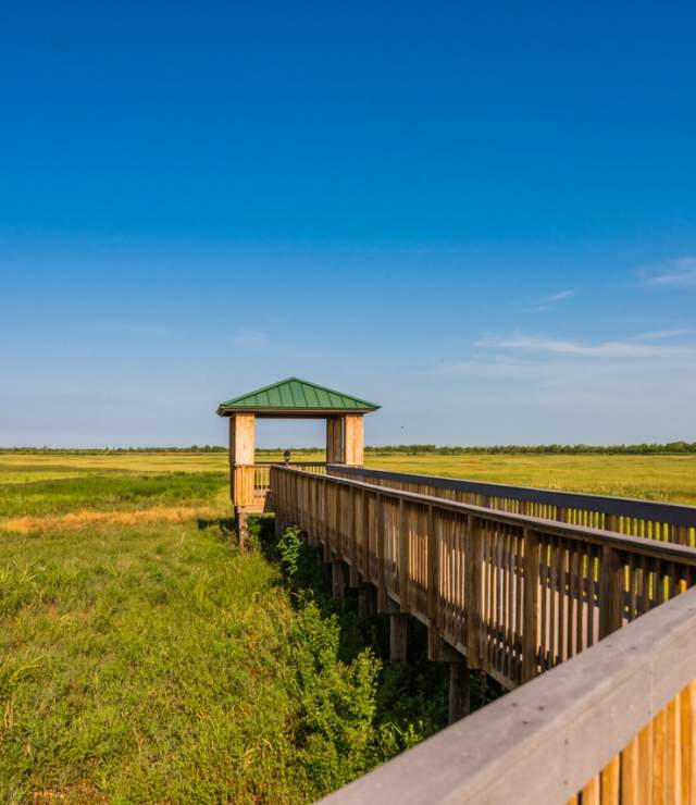 Creole Nature Trail All-American Road