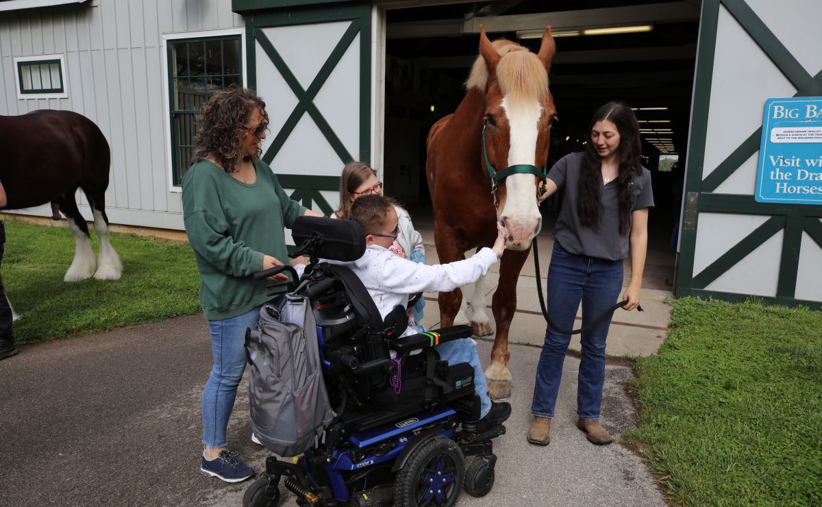 child in wheelchair petting horse