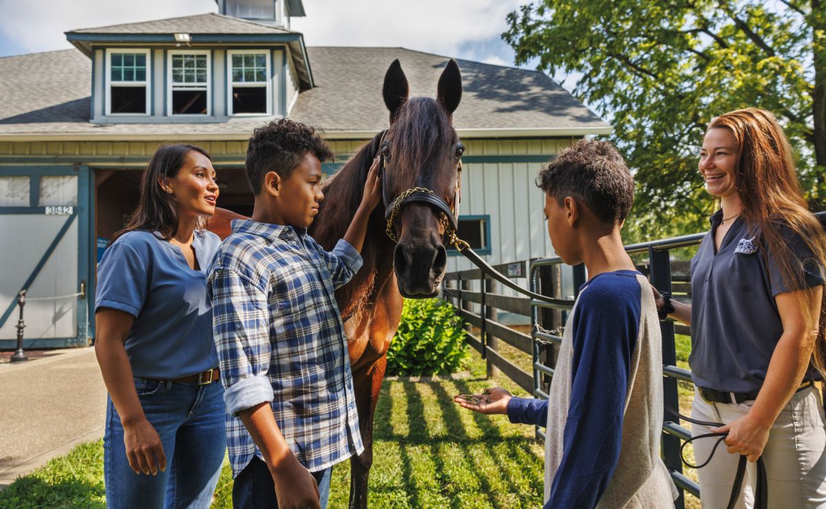 Kids interacting with a horse