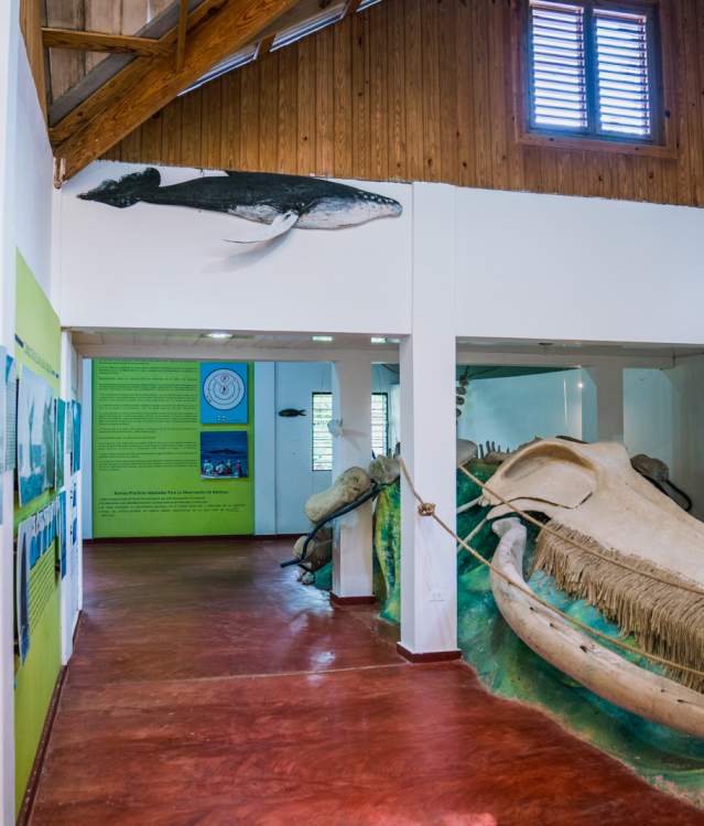 Museo de las Ballenas