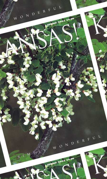 collage of the same magazine cover. The cover says "Kansas!" across the top and is an image of small white tree blossoms surrounded by green leaves
