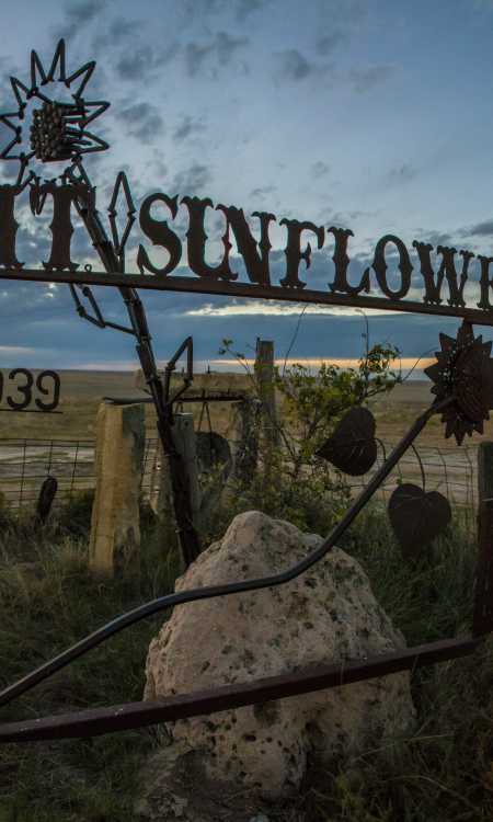 Mount Sunflower