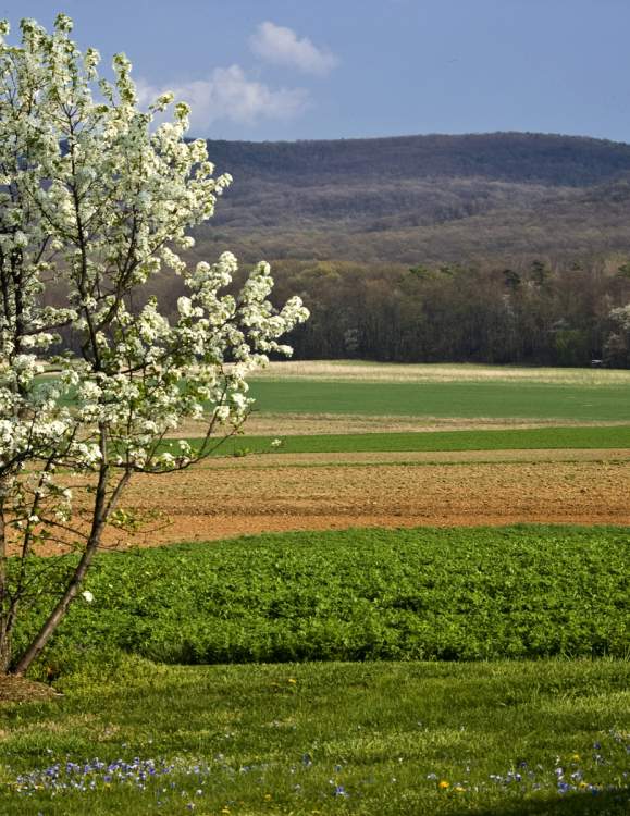 Dreaming of Warmer Weather