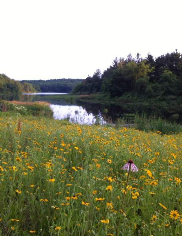 Cumberland Valley Spring Bucket List