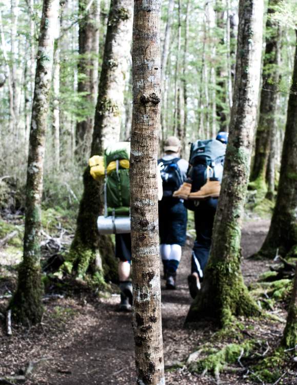 Tips for Backpacking & Camping in the Cumberland Valley