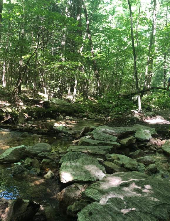 Off the Beaten Path: Explore Our Lesser-Known Trails & Parks