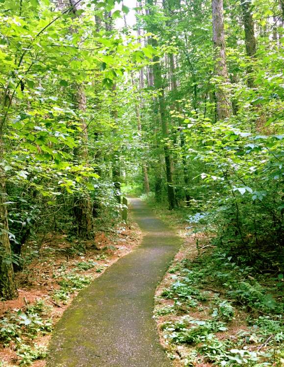 Accessible Outdoor Activities in Cumberland Valley