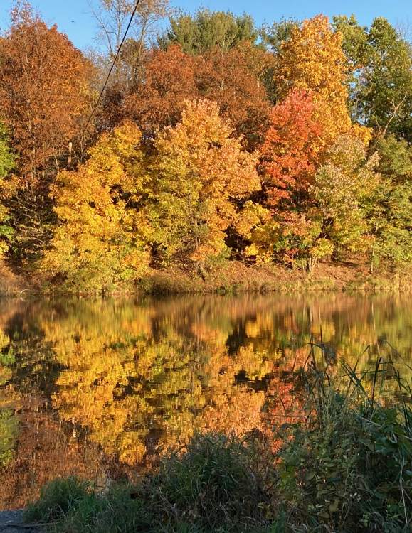 Inexpensive Things To Do This Fall