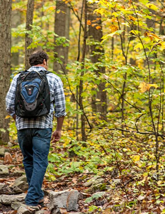 Top Things to Do This Fall