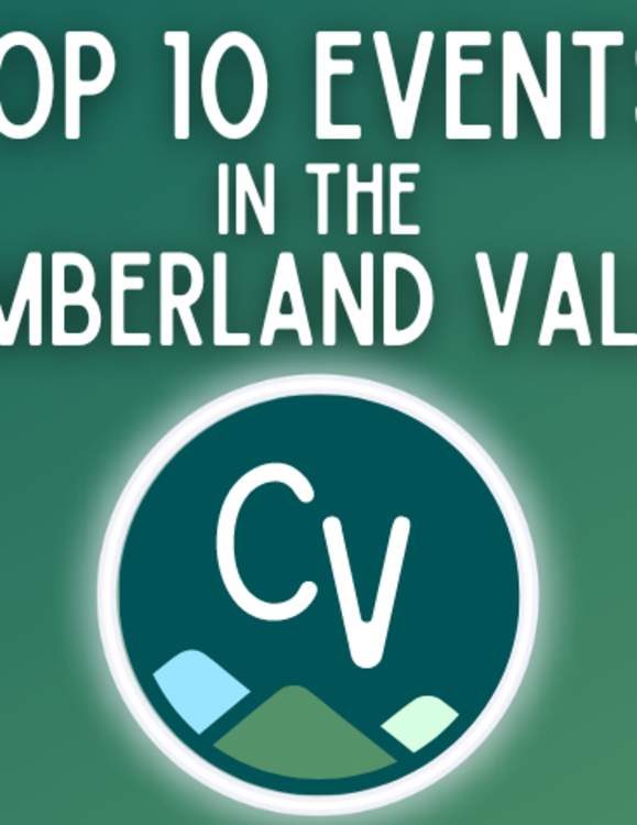 Top 10 Events: November