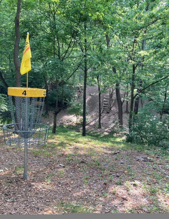 Top 5 Disc Golf Courses in Cumberland Valley