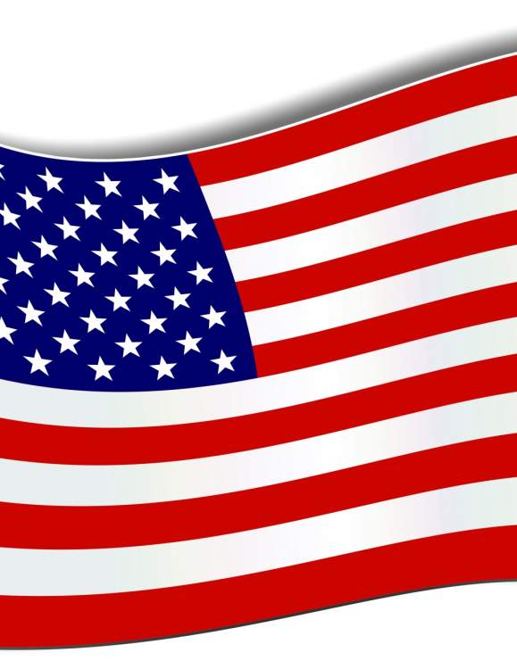 America 250: If Trees Could Talk