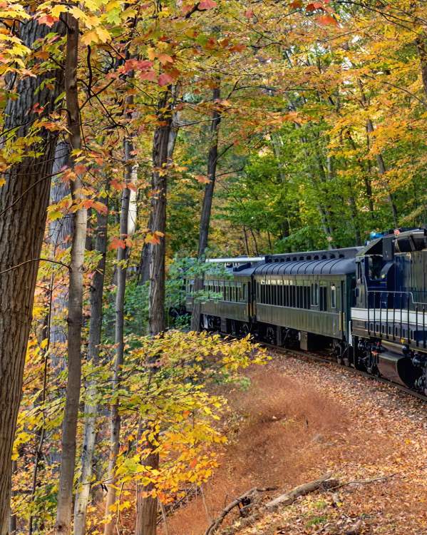 train