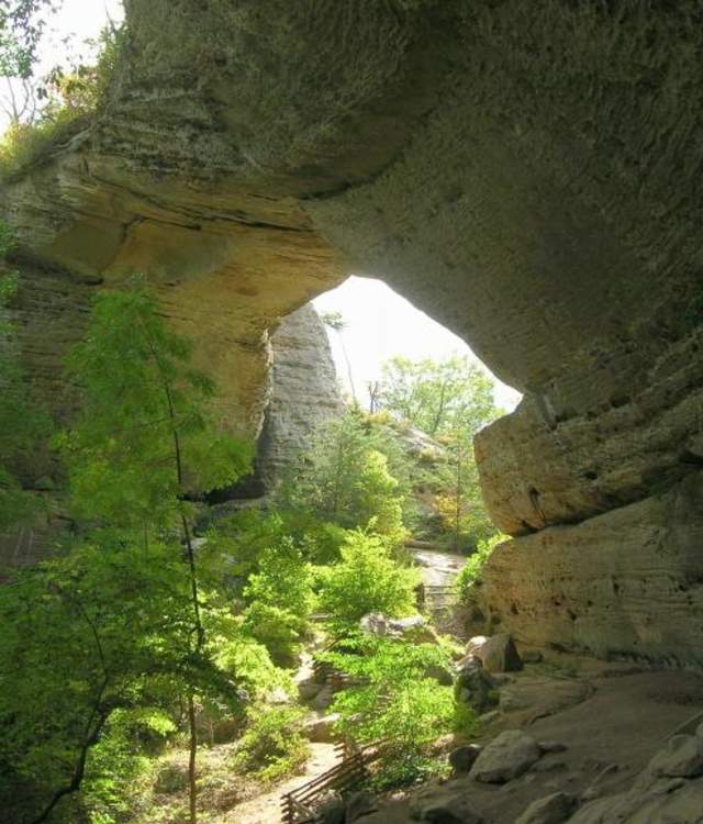 Daniel Boone National Forest Hiking Trails Daniel Boone National Forest - Kentucky Wildlands | Explorekywildlands.com