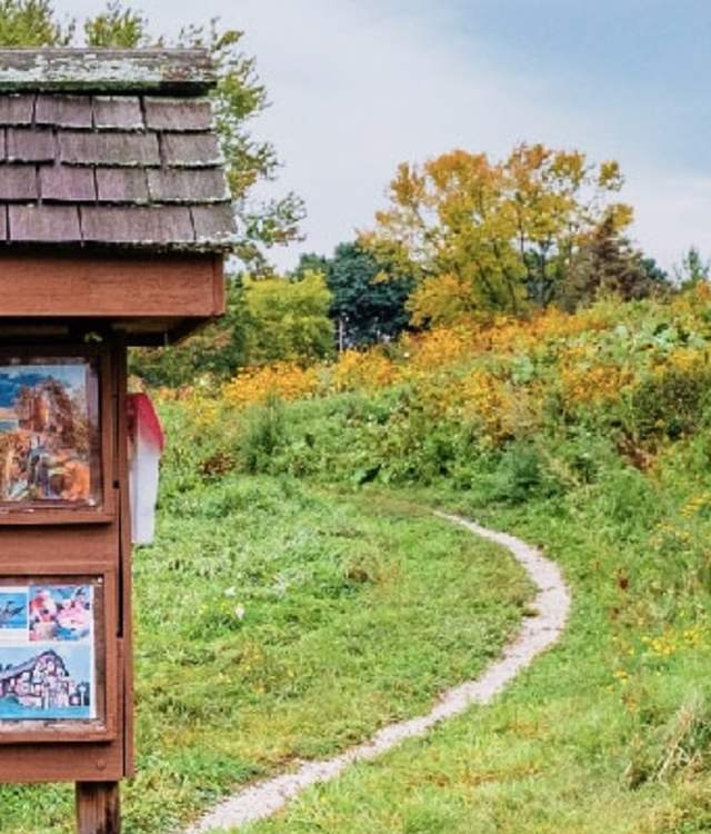 outdoors-hiking-walking