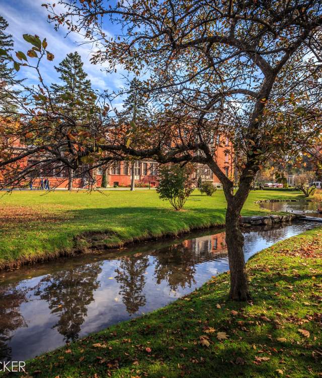 congress park in the fall
