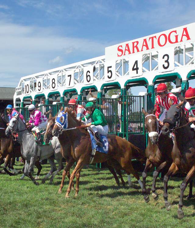 race horses after leading the starting gate