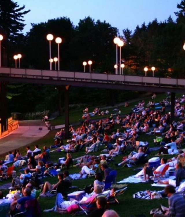 people enjoying a concert at spac while sitting on the lawn
