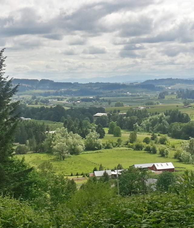 Newberg wineries shop