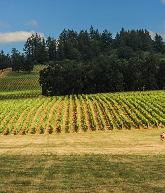 Kid friendly wineries near me online