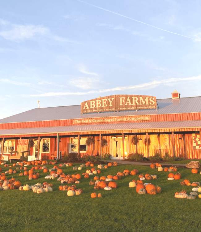 Destinations for fall family fun with apple & pumpkin picking in Chicagoland - EnjoyAurora.com - the Aurora Area of Illinois