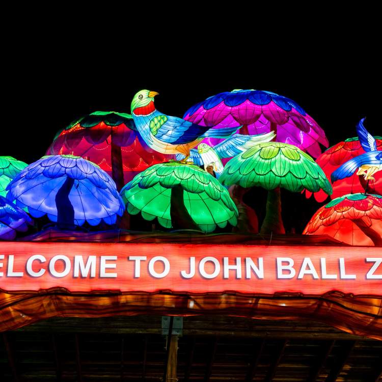 2024 Grand Rapids Lantern Festival at John Ball Zoo