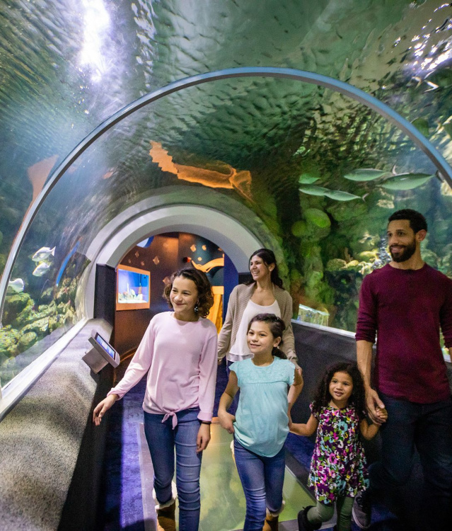 Discovery World Family