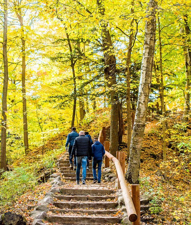 Seven Bridges Fall Family